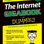 خرید و دانلود نسخه کامل کتاب The Internet GigaBook for Dummies