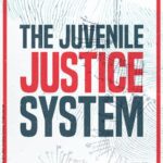 خرید و دانلود نسخه کامل کتاب The Juvenile Justice System