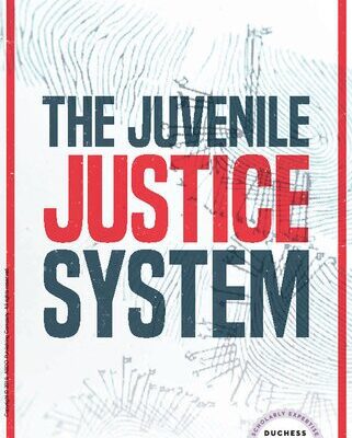 خرید و دانلود نسخه کامل کتاب The Juvenile Justice System