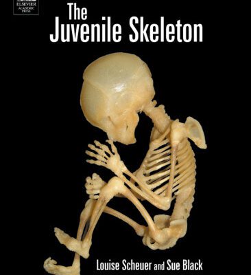 خرید و دانلود نسخه کامل کتاب The Juvenile Skeleton