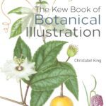 خرید و دانلود نسخه کامل کتاب The Kew Book of Botanical Illustration