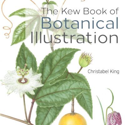 خرید و دانلود نسخه کامل کتاب The Kew Book of Botanical Illustration