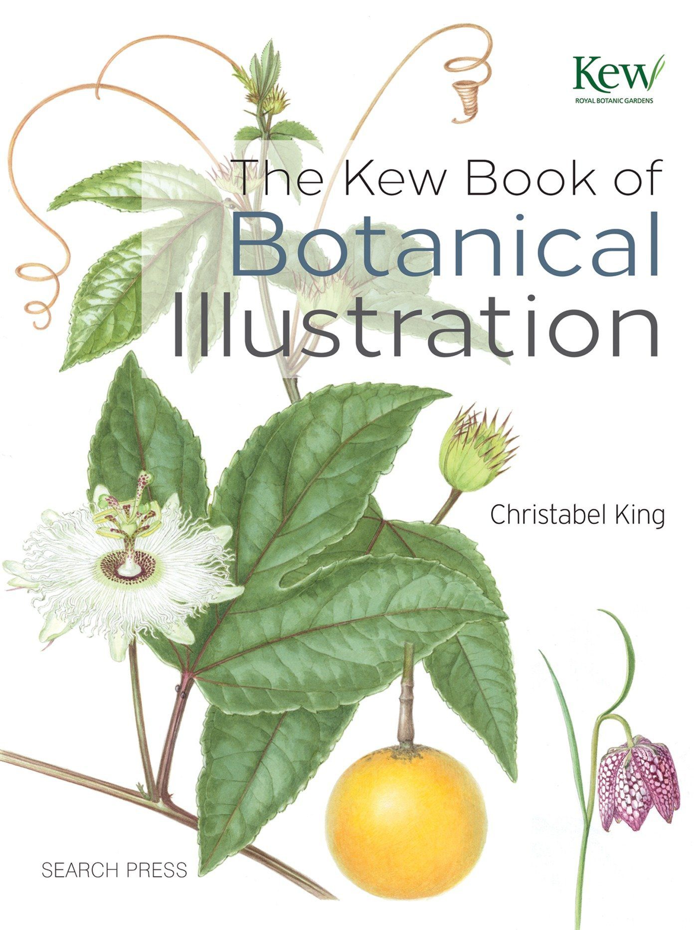 خرید و دانلود نسخه کامل کتاب The Kew Book of Botanical Illustration_68d3ece4f41b5.jpeg خرید و دانلود نسخه کامل کتاب The Kew Book of Botanical Illustration