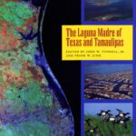 خرید و دانلود نسخه کامل کتاب The Laguna Madre of Texas and Tamaulipas (Gulf Coast Studies Series, 2)