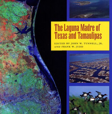 خرید و دانلود نسخه کامل کتاب The Laguna Madre of Texas and Tamaulipas (Gulf Coast Studies Series, 2)