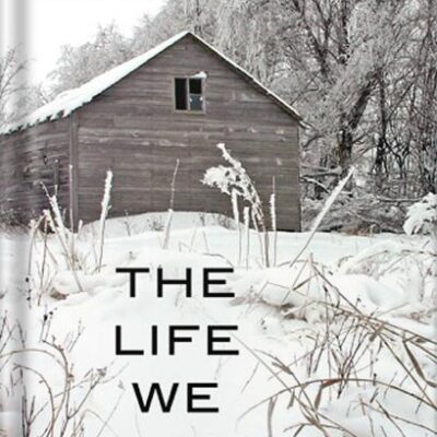 خرید و دانلود نسخه کامل کتاب The Life We Bury (Max Rupert and Joe Talbert Book 1)by Allen Eskens