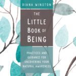 خرید و دانلود نسخه کامل کتاب The Little Book of Being Practices and Guidance for Uncovering Your Natural Awareness