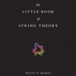 خرید و دانلود نسخه کامل کتاب The Little Book of String Theory (Science Essentials)