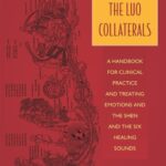 خرید و دانلود نسخه کامل کتاب THE LUO COLLATERALS