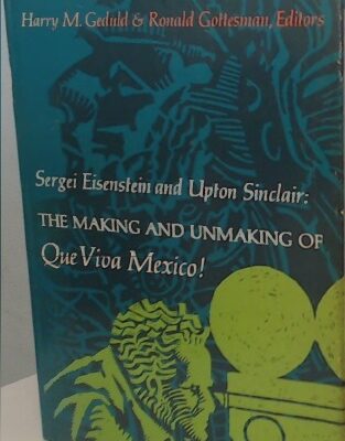 خرید و دانلود نسخه کامل کتاب The making & unmaking of Que Viva Mexico!