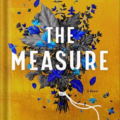 خرید و دانلود نسخه کامل کتاب The Measure: A Novel by Nikki Erlick