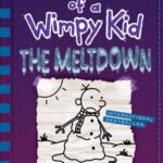 خرید و دانلود نسخه کامل کتاب The Meltdown
