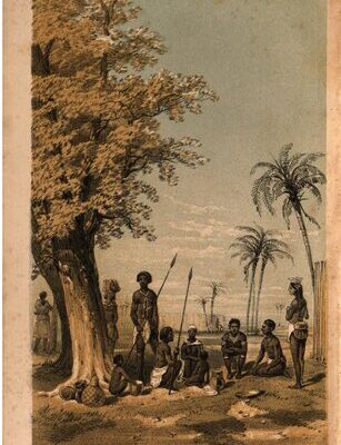 خرید و دانلود نسخه کامل کتاب The Narrative of an Explorer in Tropical South Africa