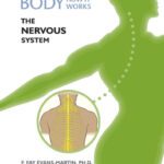 خرید و دانلود نسخه کامل کتاب The Nervous System (The Human Body, How It Works)
