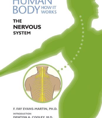 خرید و دانلود نسخه کامل کتاب The Nervous System (The Human Body, How It Works)