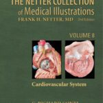 خرید و دانلود نسخه کامل کتاب The Netter Collection of Medical Illustrations – Cardiovascular System: Volume 8, 2e