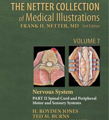 خرید و دانلود نسخه کامل کتاب The Netter Collection of Medical Illustrations: Nervous System, Volume 7, Part II – Spinal Cord and Peripheral Motor and Sensory Systems, 2e