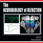 خرید و دانلود نسخه کامل کتاب The neurobiology of olfaction