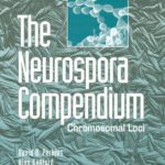 خرید و دانلود نسخه کامل کتاب The Neurospora Compendium: Chromosomal Loci