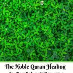 خرید و دانلود نسخه کامل کتاب The Noble Quran Healing For Deep Sadness & Depression Plus Improve Spiritual Health English Version