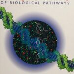 خرید و دانلود نسخه کامل کتاب The Organic Chemistry of Biological Pathways