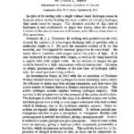 خرید و دانلود نسخه کامل کتاب The Ozone Form of Hydrogen