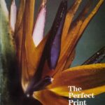 خرید و دانلود نسخه کامل کتاب The Perfect Print