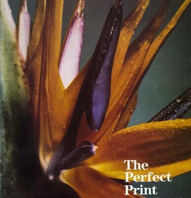 خرید و دانلود نسخه کامل کتاب The Perfect Print