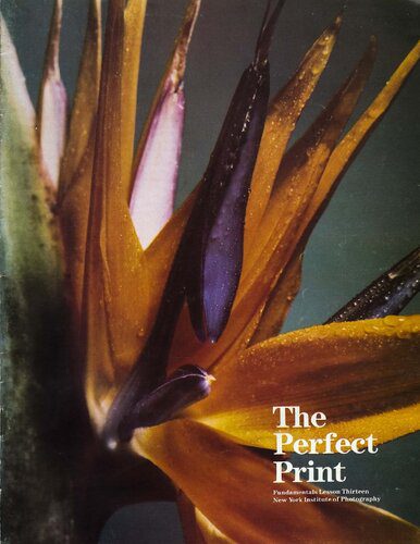 خرید و دانلود نسخه کامل کتاب The Perfect Print_68d3ccf80551c.jpeg خرید و دانلود نسخه کامل کتاب The Perfect Print
