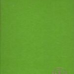 خرید و دانلود نسخه کامل کتاب The Philosophy of Quantum Mechanics: The Interpretations of Quantum Mechanics in Historical Perspective