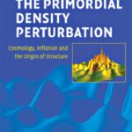 خرید و دانلود نسخه کامل کتاب The primordial density perturbation: cosmology, inflation and the origin of structure