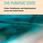 خرید و دانلود نسخه کامل کتاب The Punitive State: Crime, Punishment, and Imprisonment across the United States (Criminal Justice: Recent Scholarship)