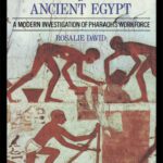 خرید و دانلود نسخه کامل کتاب The Pyramid Builders of Ancient Egypt: A Modern Investigation of Pharaoh’s Workforce