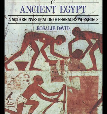 خرید و دانلود نسخه کامل کتاب The Pyramid Builders of Ancient Egypt: A Modern Investigation of Pharaoh’s Workforce