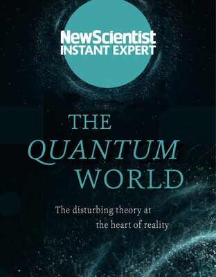 خرید و دانلود نسخه کامل کتاب The Quantum World: The Disturbing Theory at the Heart of Reality
