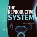خرید و دانلود نسخه کامل کتاب The Reproductive System (The Human Body)