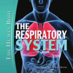 خرید و دانلود نسخه کامل کتاب The Respiratory System (The Human Body)