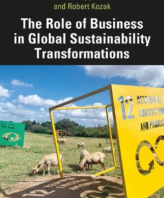 خرید و دانلود نسخه کامل کتاب The Role of Business in Global Sustainability Transformations