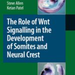 خرید و دانلود نسخه کامل کتاب The Role of Wnt Signalling in the Development of Somites and Neural Crest (Advances in Anatomy, Embryology and Cell Biology)