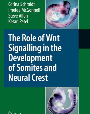 خرید و دانلود نسخه کامل کتاب The Role of Wnt Signalling in the Development of Somites and Neural Crest (Advances in Anatomy, Embryology and Cell Biology)