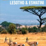 خرید و دانلود نسخه کامل کتاب The Rough Guide to South Africa, Lesotho & Eswatini: Travel Guide eBook