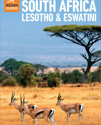 خرید و دانلود نسخه کامل کتاب The Rough Guide to South Africa, Lesotho & Eswatini: Travel Guide eBook