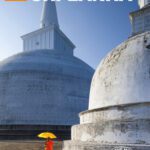 خرید و دانلود نسخه کامل کتاب The Rough Guide to Sri Lanka (Travel Guide eBook)