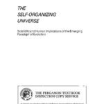 خرید و دانلود نسخه کامل کتاب The Self-Organizing Universe: Scientific and Human Implications of the Emerging Paradigm of Evolution