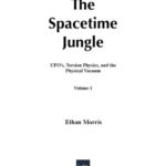 خرید و دانلود نسخه کامل کتاب The Spacetime Jungle