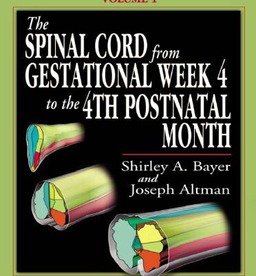 خرید و دانلود نسخه کامل کتاب The Spinal Cord from Gestational Week 4 to the 4th Postnatal Month (Atlas of Human Central Nervous System Development)