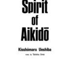 خرید و دانلود نسخه کامل کتاب The Spirit of Aikido  Martial Arts   Self Defense