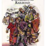 خرید و دانلود نسخه کامل کتاب The Story of the Underground Railroad