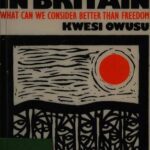 خرید و دانلود نسخه کامل کتاب The Struggle for Black Arts in Britain: What can we Consider Better than Freedom