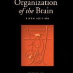 خرید و دانلود نسخه کامل کتاب The Synaptic Organization of the Brain